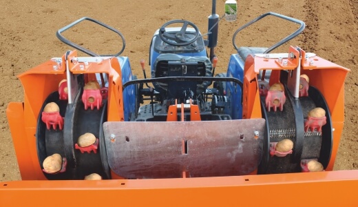 zig-zag-planting-of-tubers-for-higher-yield-1656763758